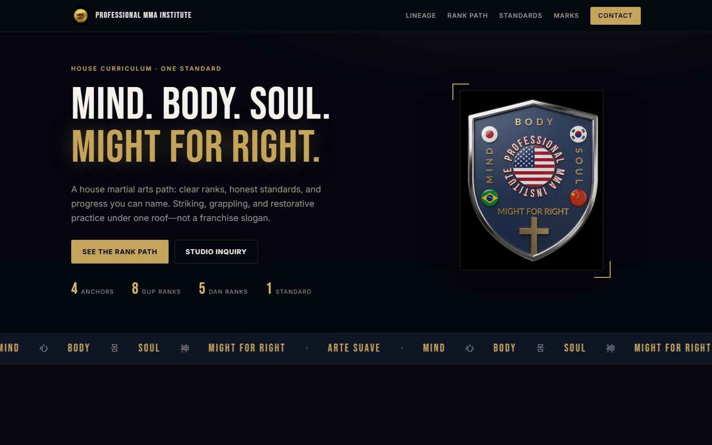 Professional MMA Institute — desktop homepage